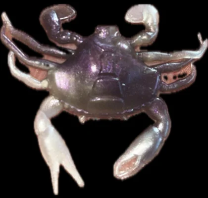Custom Crab Lures 6 Pack