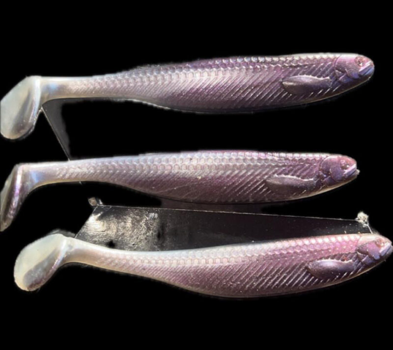 Scream Minnow 6 pack - Image 5
