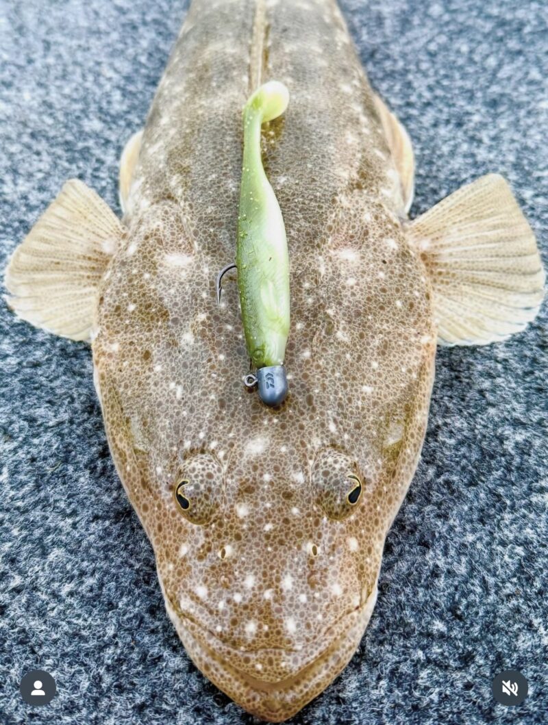 4" Nova Mullet Scream minnow (Glow) 6pk - Image 8