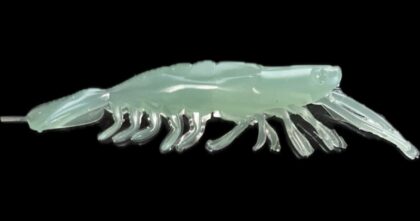 3" V Natural Prawn 4pk