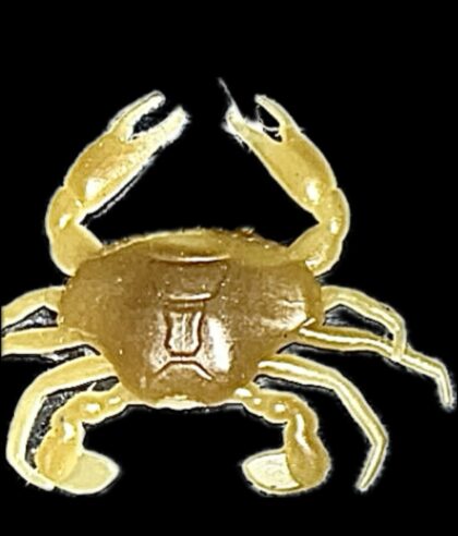 1.8" Baby Mud Crab (Glow) 6pk