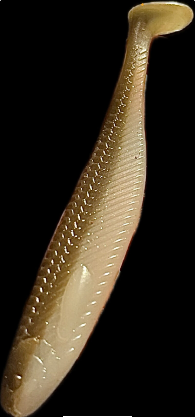 4" Mullet Scream Minnow 6pk - Image 2