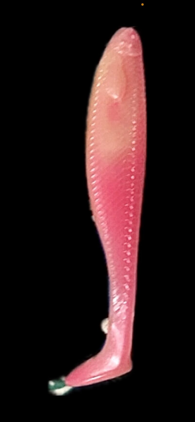 4" Scream Minnow Sunset Dream (Glow) 6pk - Image 6