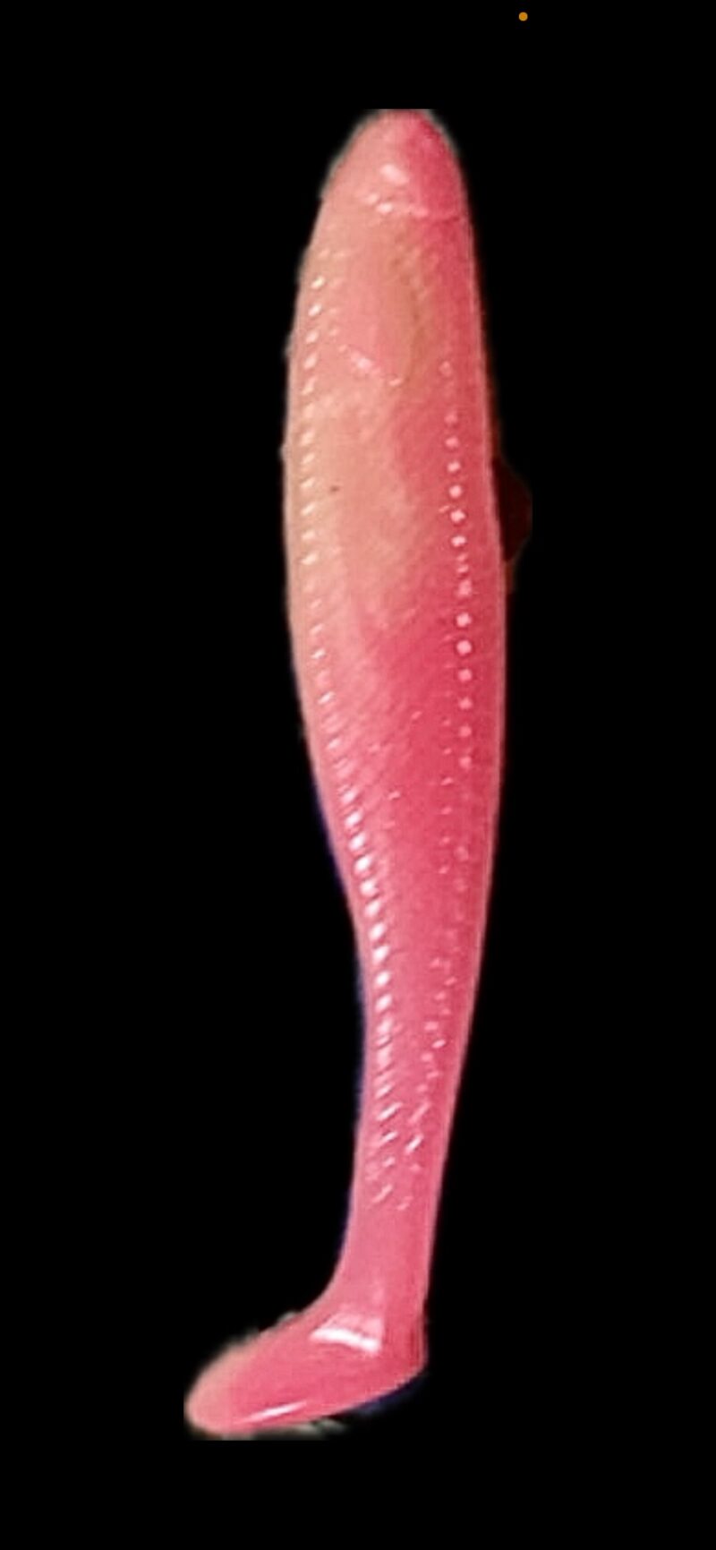 4" Scream Minnow Sunset Dream (Glow) 6pk - Image 4