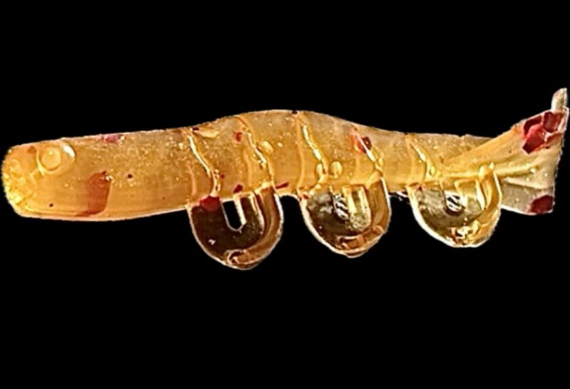 2" Blitz Prawn Motor Oil 6pk