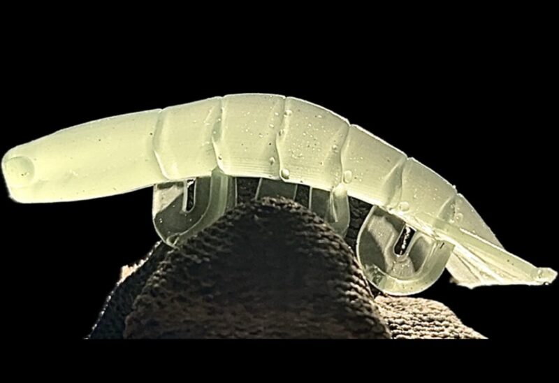 2" Blitz Prawn True Prawn 6pk - Image 2