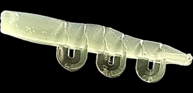 2" Blitz Prawn True Prawn 6pk