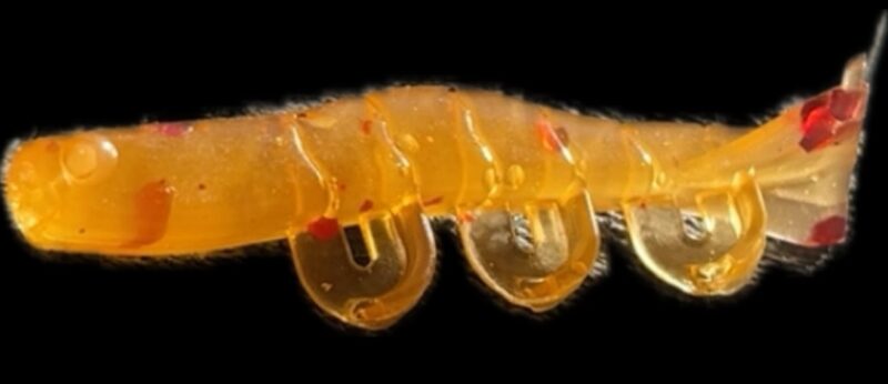 2" Blitz Prawn Motor Oil 6pk - Image 5