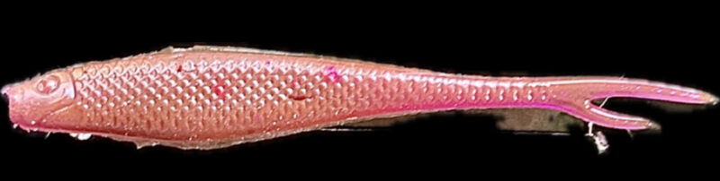 4" Z Jerk Shad Lilly's Pink 4pk - Image 2