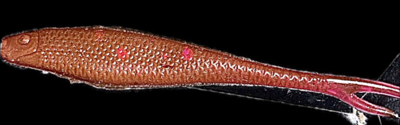 4" Z Jerk Shad Lilly's Pink 4pk - Image 3