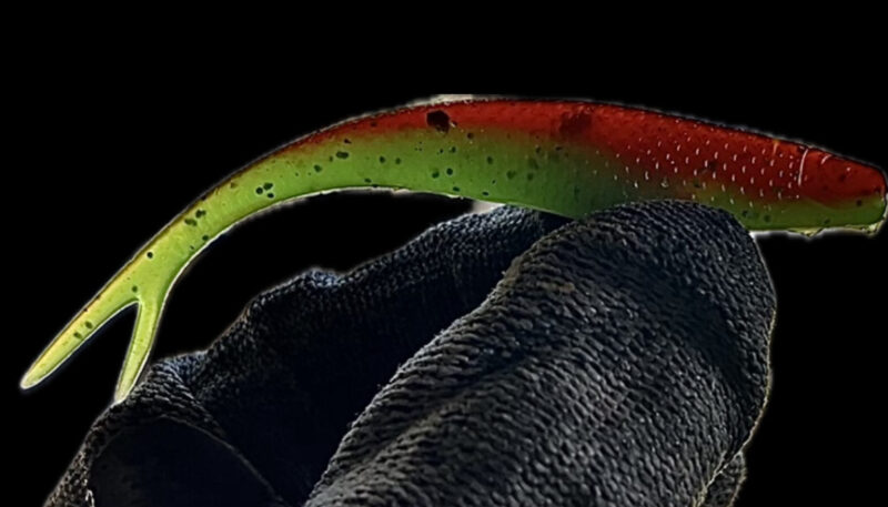 4" Z Jerk Shad Watermelon Burst (Glow) 4pk - Image 4