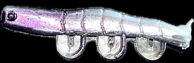 2" Blitz Prawn Galaxy 6pk - Image 4