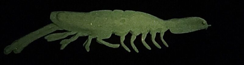 3" V Prawn Cooked Prawn (Glow) 4pk - Image 5