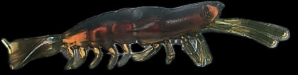 3" V prawn Motor oil