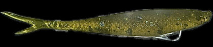 4" Z Jerk Shad Banana